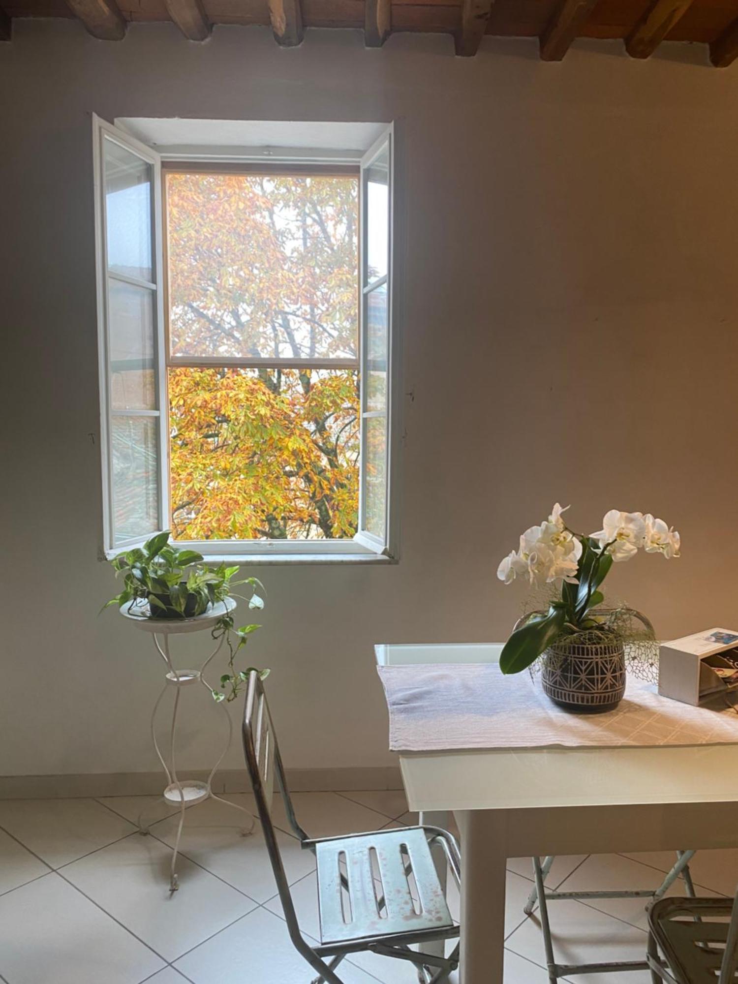 Apartament Casa Amorino Lukka Zewnętrze zdjęcie