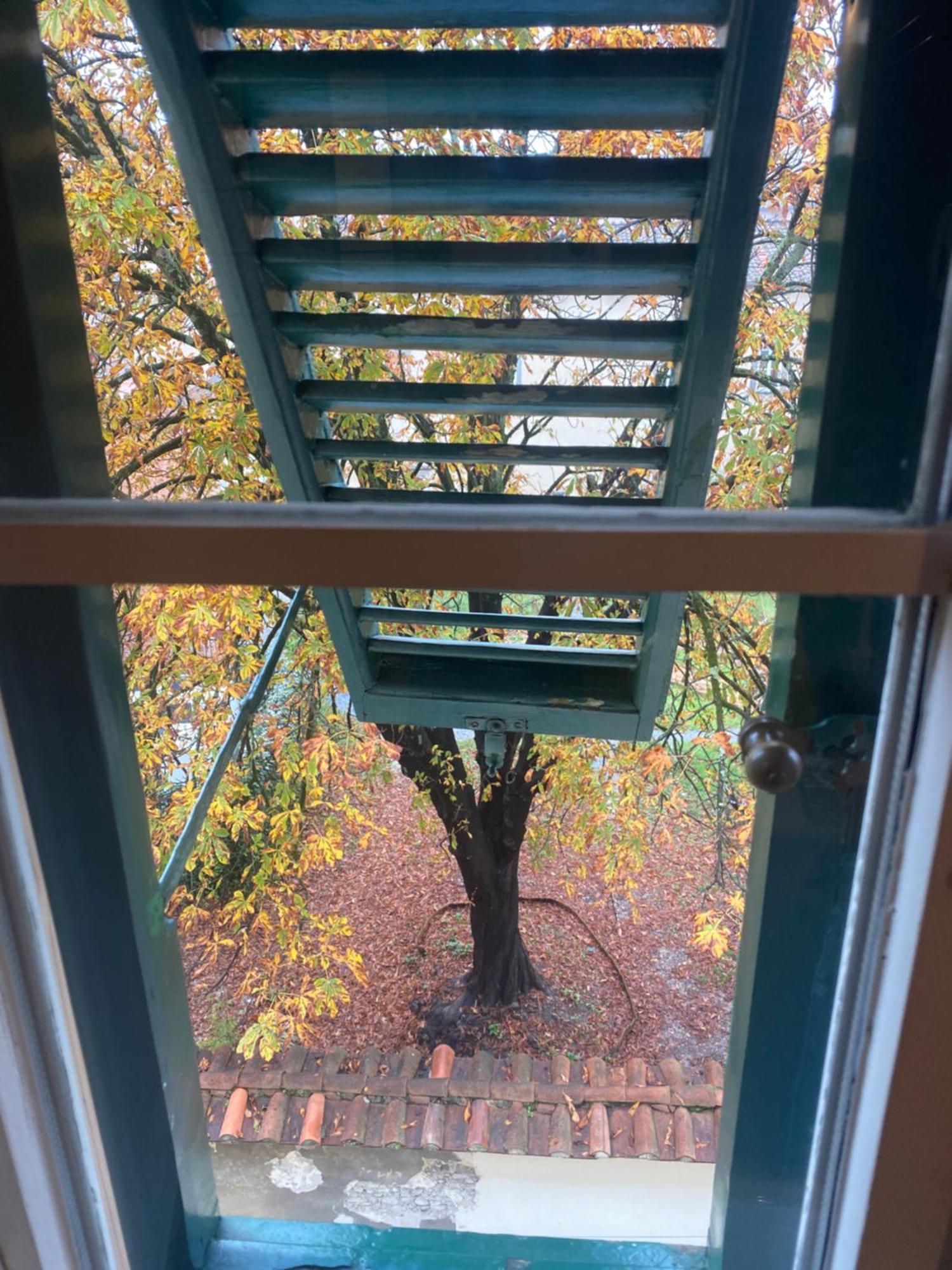 Apartament Casa Amorino Lukka Zewnętrze zdjęcie